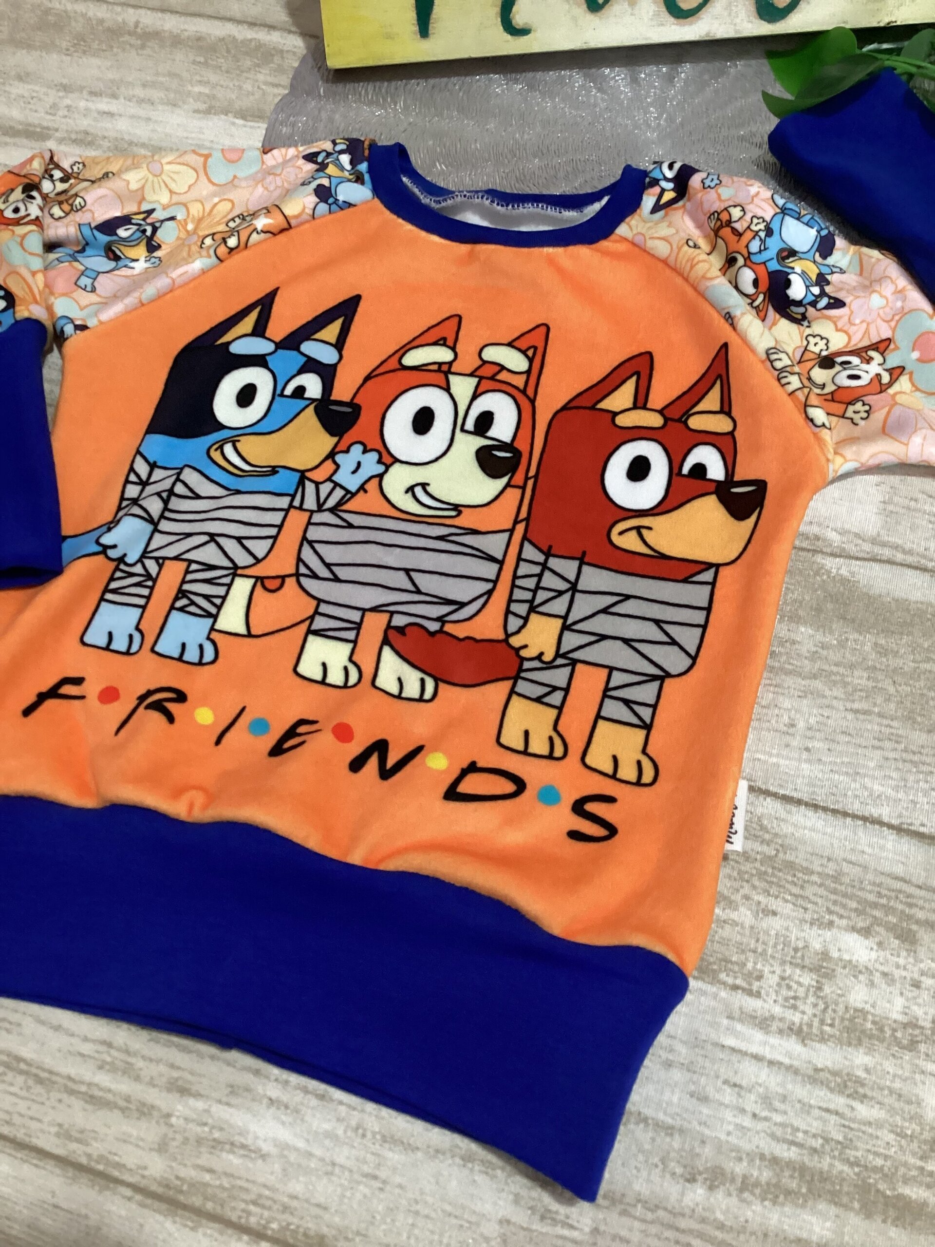 Sudadera 1/3 años. Fluffiest. Bluey y Bingo. Azul marino. Flores - 3