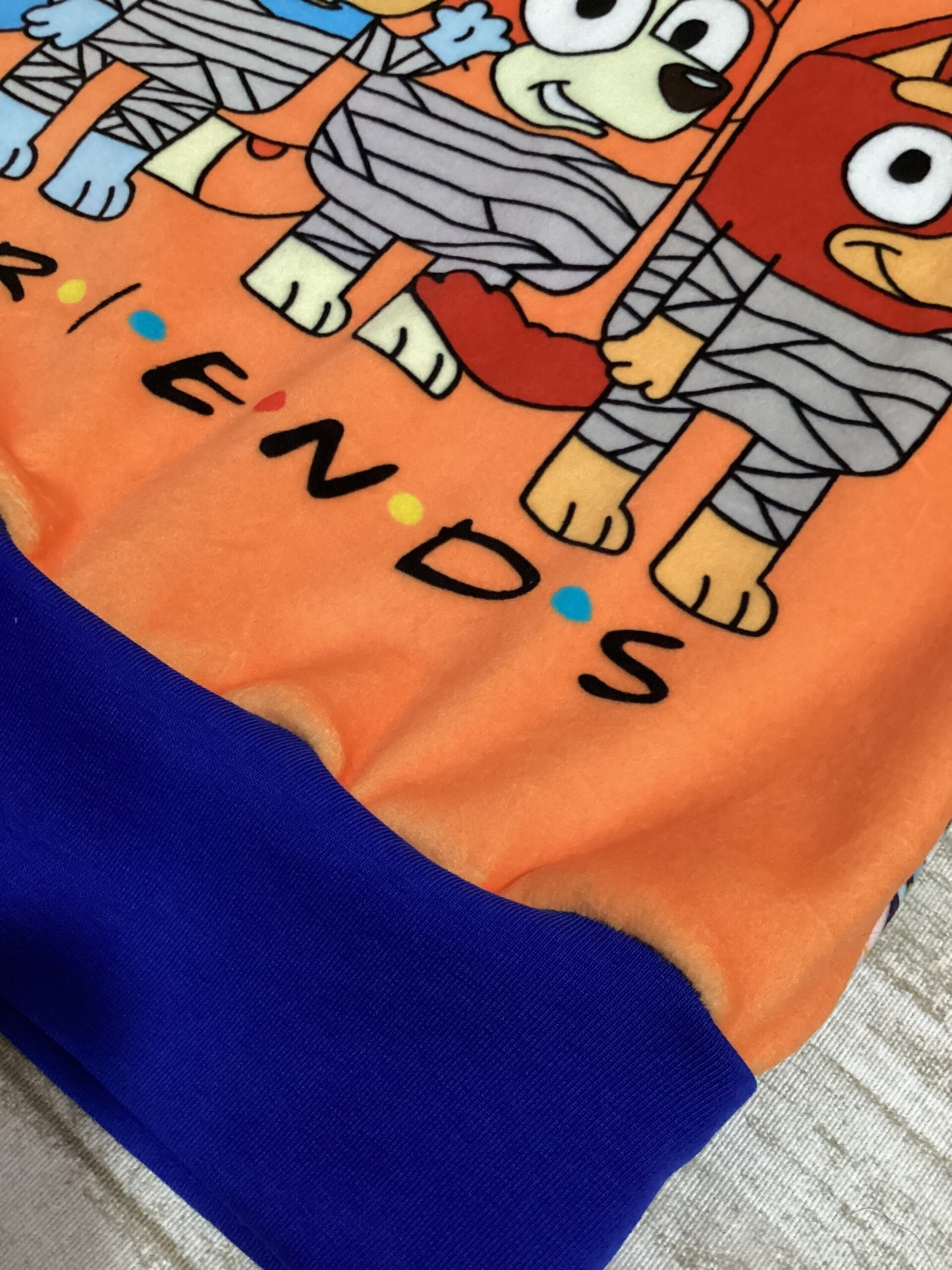 Sudadera evolutiva 3/6 años. Fluffiest. Bluey y Bingo. Flores. - 2